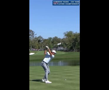PGA 탑7 올타임 장타자 장타스윙모션 & 슬로우모션,Top.7 All time long hitters Fantastic swing motion & Slow motion 2023