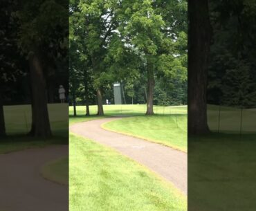 Sung Kang golf shot