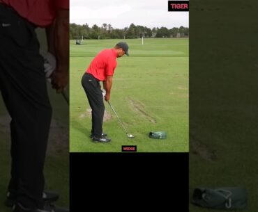 What Stands Out To You? Tiger Woods Wedge Practice #golf #tigerwoods #shorts