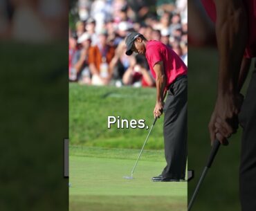 Best shot Xander Schauffele has ever seen 👀