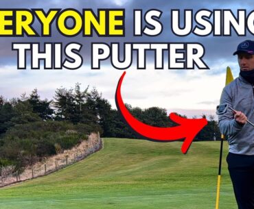 A TaylorMade Spider fixed my putting in ONE ROUND!