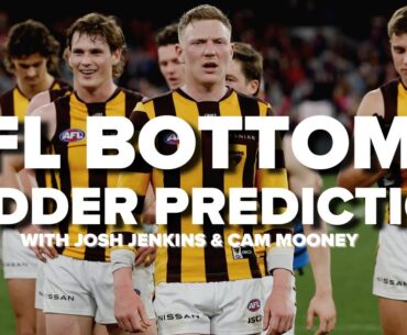 Could the Hawks take a step backwards in 2024? - SEN