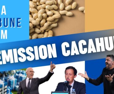 🎄 LE LIVE CACAHUETE de la Tribune Olympienne ! 🥜 🔵⚪ et en cadeau...EXCLU MERCATO OM🎁