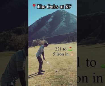 HOLE 10 #golf #reels