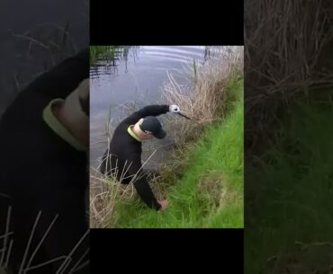 Crazy Golf Moment #golf #golfer #funny #golfing #golfswing #comedy #fyp #fypシ #golftiktok #crazy