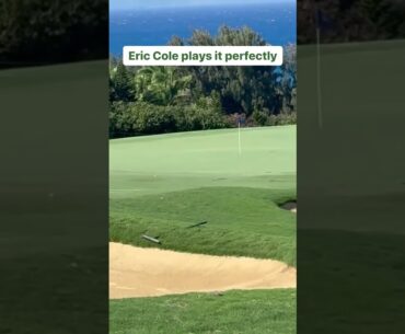 PGA Tour Rookie of the Year Eric Cole played this one absolutely perfect. So sick.