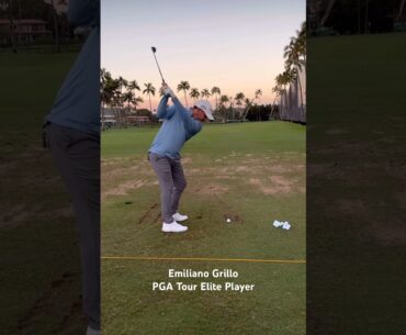 EMILIANO GRILLO 🔥 Elite PGA Tour Player 🔥 Ball Striker Expert 🎯✅⛳️ #golf #golfswing #shorts
