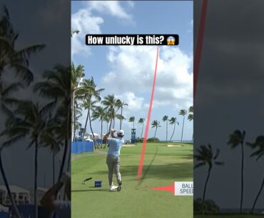 You really hate to see it 😔