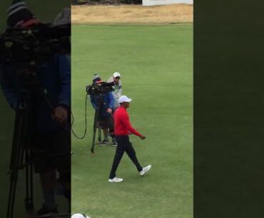 Tiger Woods #Golf #golfswing #TigerWoods