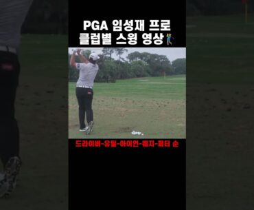 자랑스러운 한국인! PGA 임성재 프로클럽별 스윙 영상🏌🏻‍♂️ #shorts