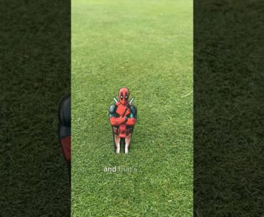 Click the link in my bio! #golfskill #golfgirl #golfswing #golfer #golftechnique #golferslife