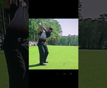 Tiger Woods - 3 wood Stinger