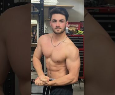 137.5 Dips for Reps