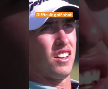 Best golf shot #pgatour #bestgolfswing #pgagolf #best #bestgolfshot #golf