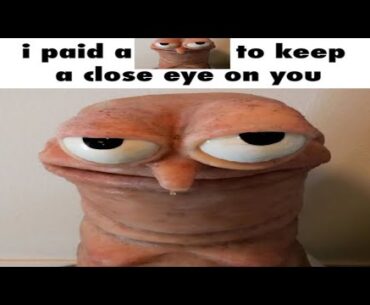 funny offensive memes that if ylyl v65