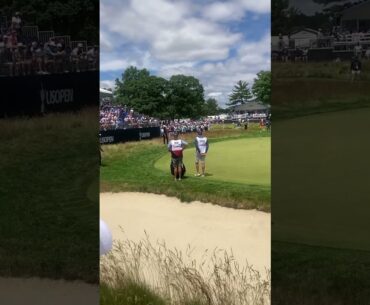 Justin Rose nearly chips in  #golf #pga #pgatour #shorts #golfer #golflife