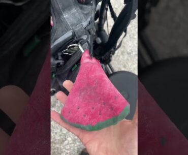 Disc Golf Grip Sack - KK Approved - Fruity Grip Sack - #discgolf Chalk bags