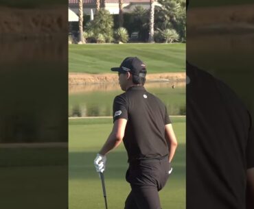 Min Woo Lee with the chip in for birdie to close out his round. #pga #MinWooLee #birdie #kesq