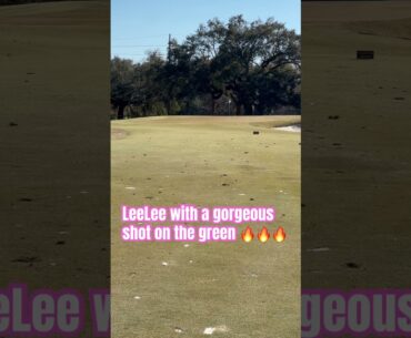 LeeLee with a gorgeous shot on the green 🔥🔥#golfgirl #golf #golfer #golflife #golfing #greatshot
