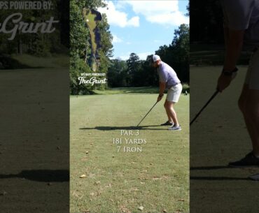 Brandermill Country Club 11th Hole #shorts #golf