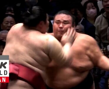 GRAND SUMO: Day 2 of the January 2024 Tournament - GRAND SUMO Highlights