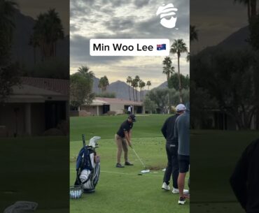 Let him COOK 👨‍🍳 #caddysplash #golfswing