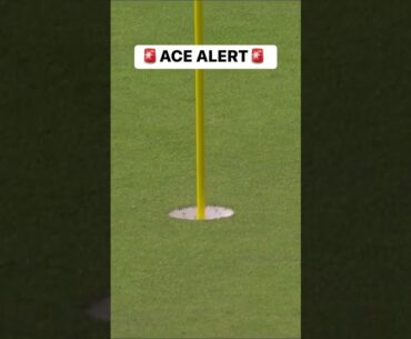 Hideki Matsuyama first Hole in One on Tour 🤯