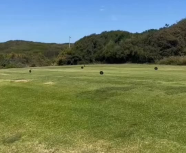 Don't worry. We listed the best Adidas golf shoes just for you https://www.golfsquatch.com/adidas-golf-shoes/#