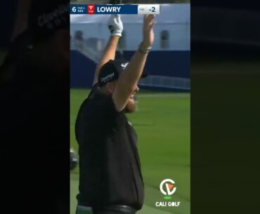 Shane Lowry Albatros on Par 5 #golf  #shorts