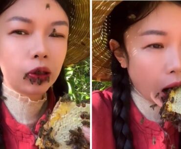 Chinese Lady Loves Fresh Honey with Bees