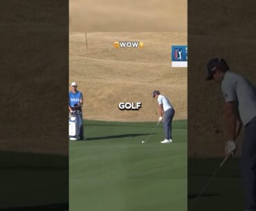 The Most Unexpected Hole-in-One! #shorts #golf #sports