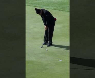 The boys are on a heater! 🔥 Peter Uihlein with his 4th birdie of the day.
