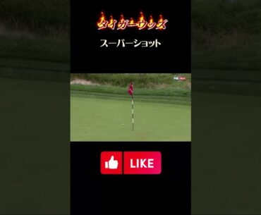 #short #short タイガー・ウッズのスーパショット