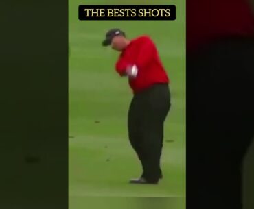 2 Tiger Woods shots that will leave your JAW on the FLOOR