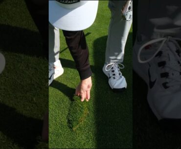 Is this the golden rule of golf?