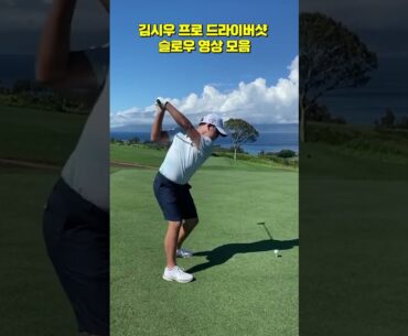 PGA 통산 3승 김시우 프로 드라이버샷  골프 스윙 슬로우 모션 영상 모음
