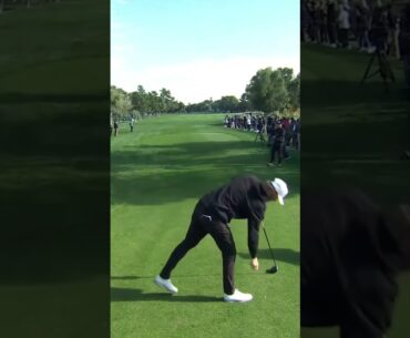 That’s a good way to start for Thomas Pieters  🚀