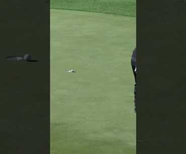 A birdie at the Hole #3 for Matthew Wolff 👍