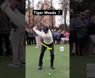 Describe Tiger’s swing in ONE word.