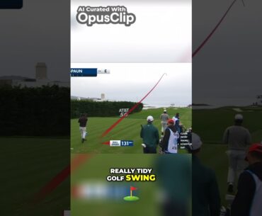 Mastering the Long Range  Adam Schenck's Tidy and Balanced Golf Swing #golfchat #golfingworld