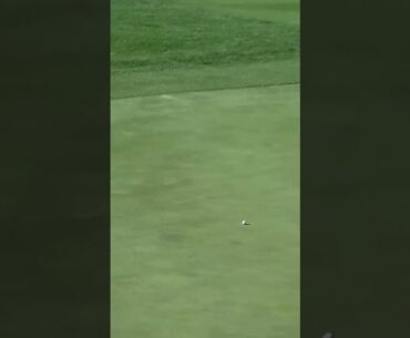 The flat stick has been on 🔥 for Peter Uihlein this week.