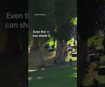 Tiger = one of us