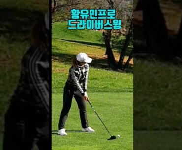 황유민, 김민별, 허인회, 장유빈프로 #골프 #티샷 #프로스윙