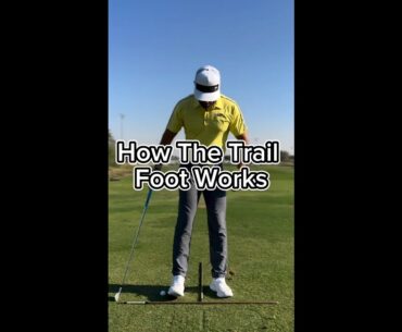 How The Trail Foot Works In Golf Swing | PXG #shorts