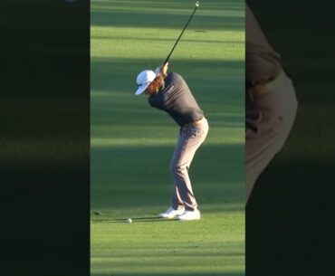 Cameron Smith Players Championship Highlights!