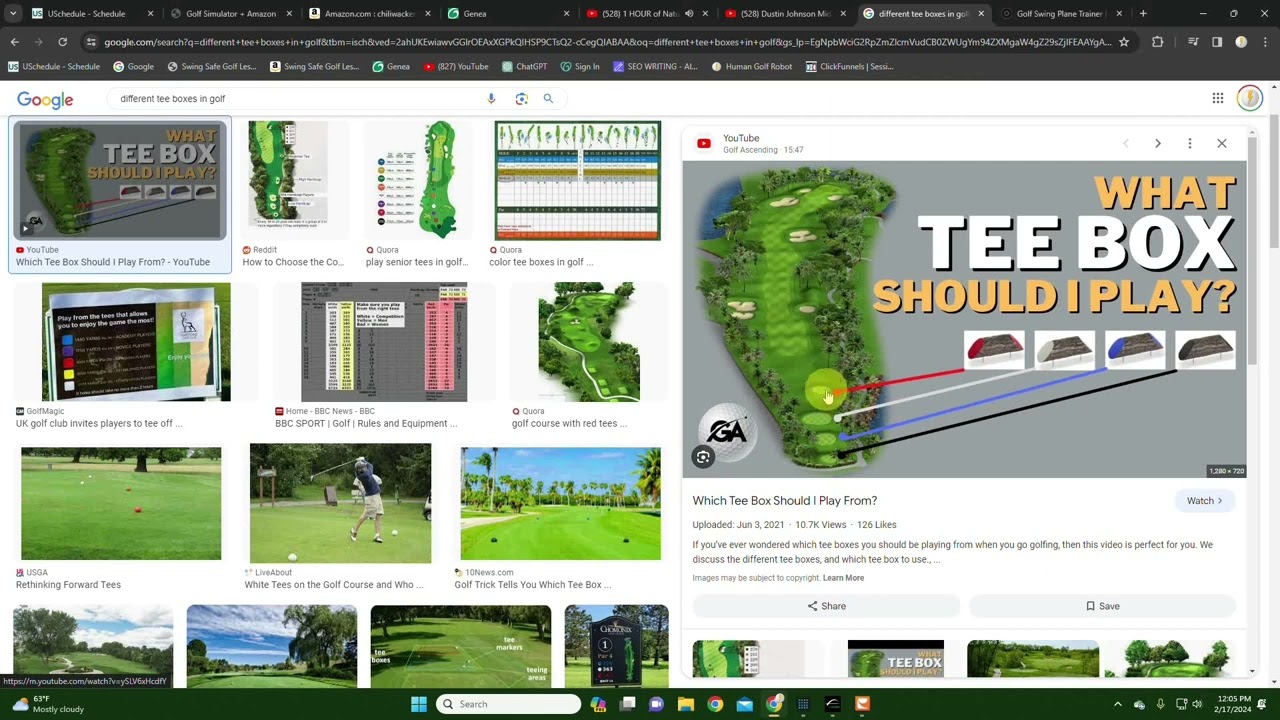 Different Tee Boxes in Golf for Different Level Players Different Tee Boxes in Golf for Different Level Players