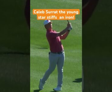 Caleb Surratt young golf star stiffs an iron shot! #golf #calebsurrat #tomgillisgolf