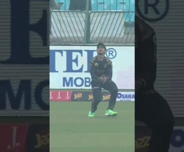 Jason Roy Wicket! #QGvPZ #HBLPSL9 #KhulKeKhel #SportsCentral #Shorts M2A1A