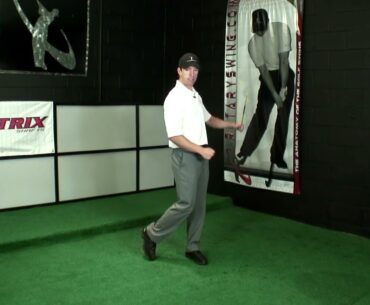 Speed vs. Power in the Golf Swing