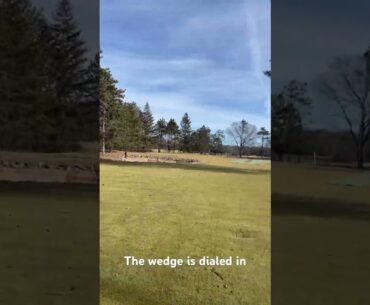 Golf wedge shot